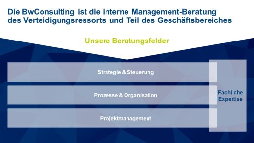 BwConsulting Beratungsfelder DE